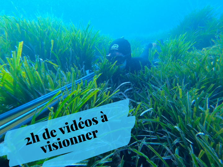 Les techniques de chasse sous-marine