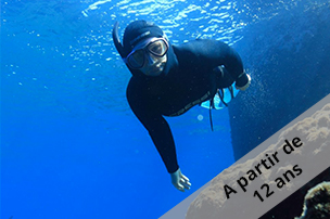 discover freediving