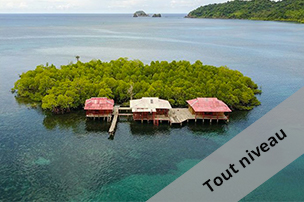freediving trip indonesia