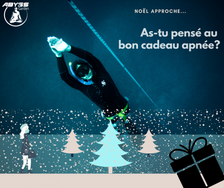 cadeau noel apnée