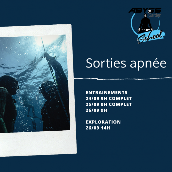 programme des sorties apnée