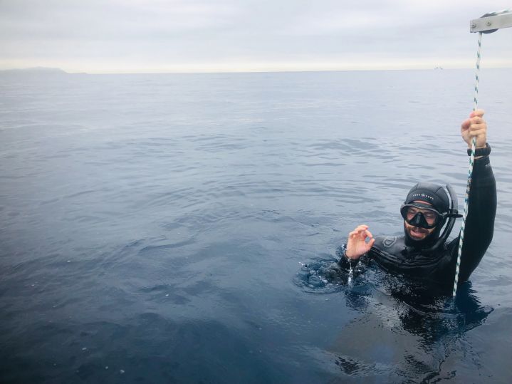 freediver in the sea