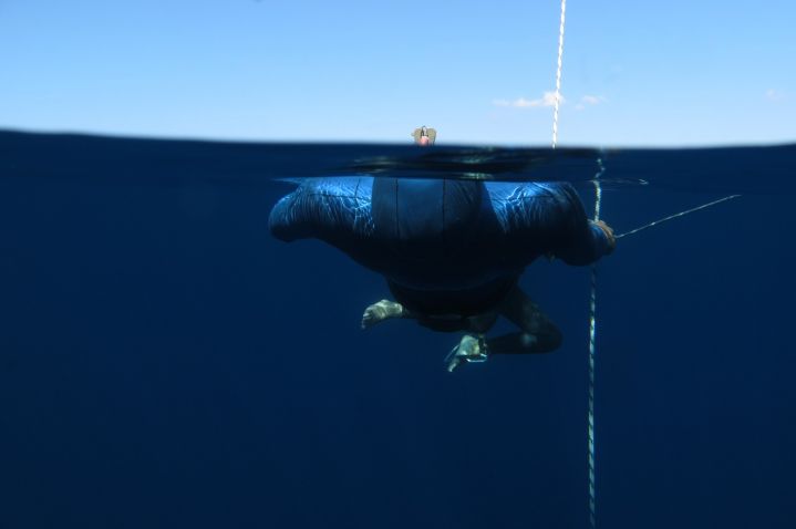 freediving French