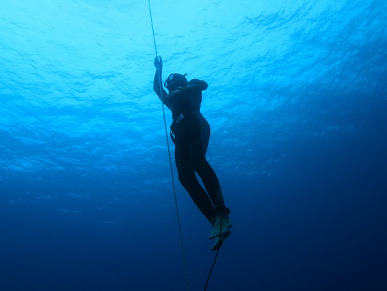 freediving course