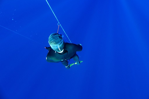 freediving courses 2019
