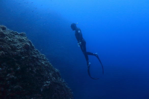 freediving courses