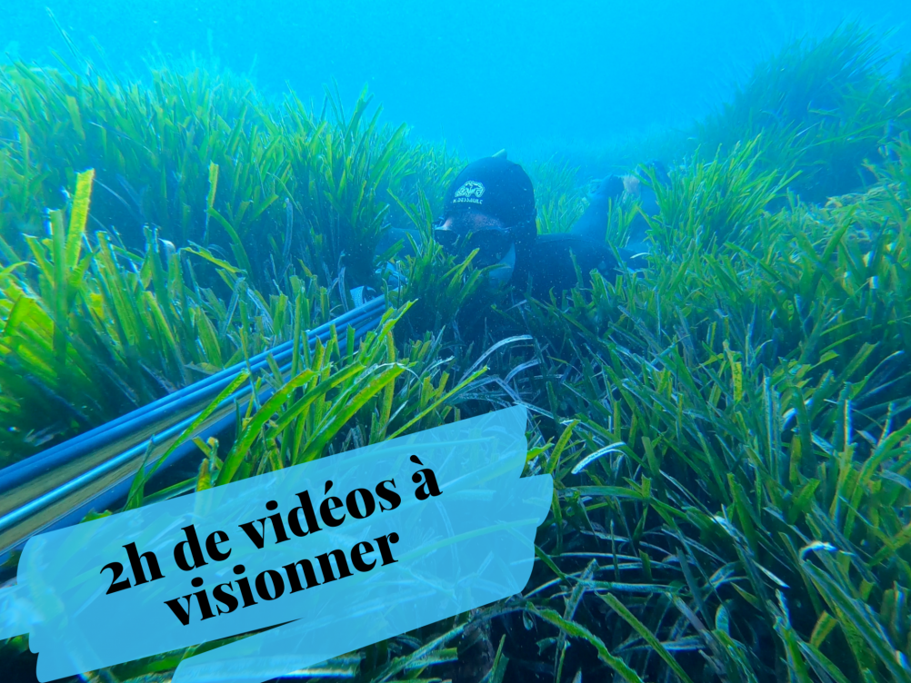 Formation chasse sou-marine